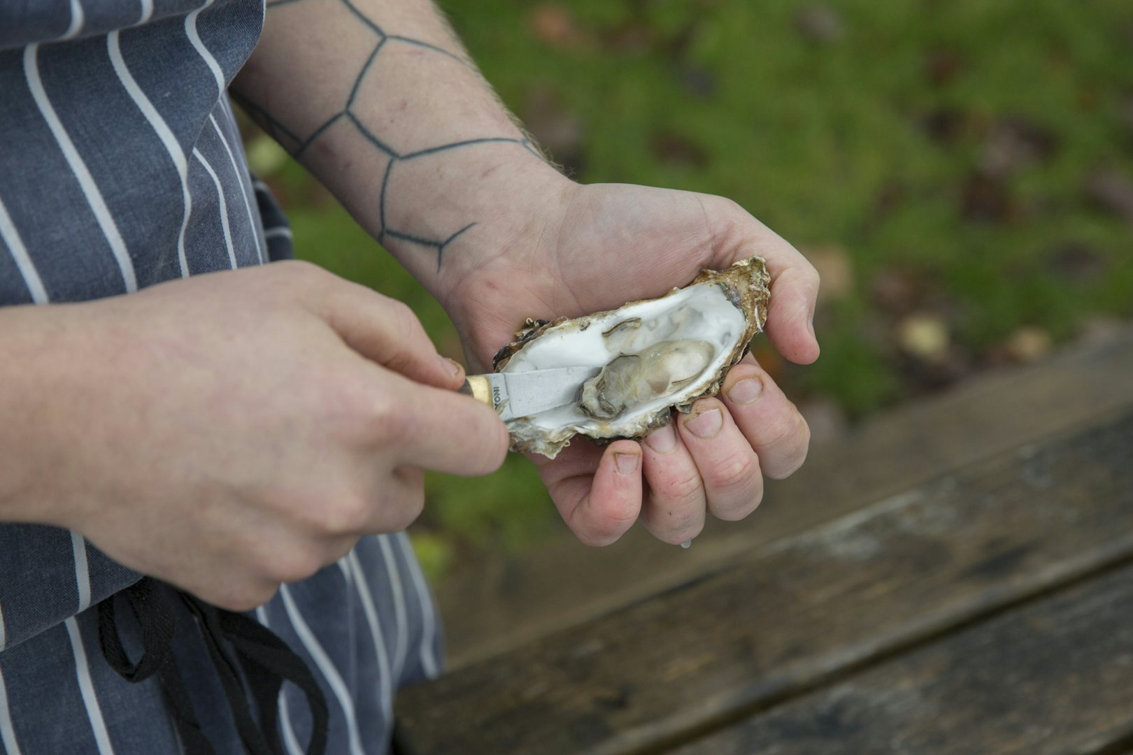 a man with a tattoo cutting an oyster