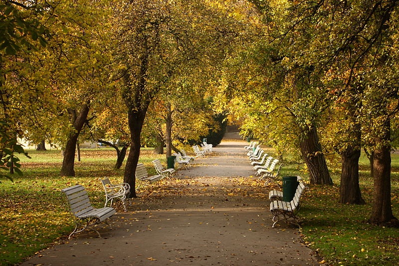 benches and trees at Vojan Gardens