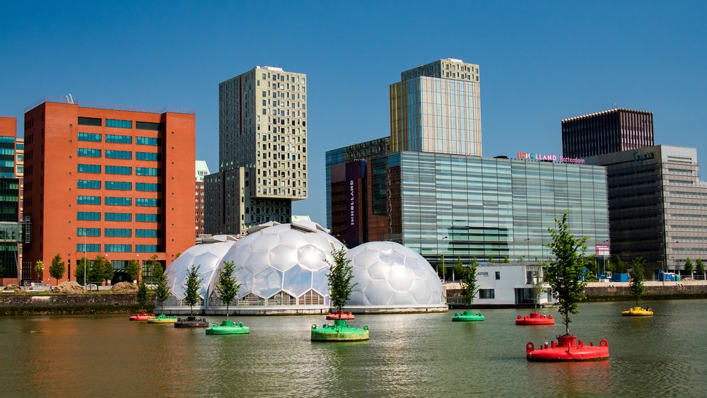 Floating trees in Rotterdam