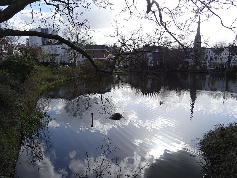 a quiet pond in Kralingen, Rotterdam
