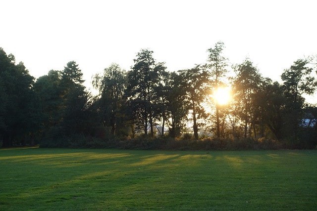 Vroesenpark in Rotterdam