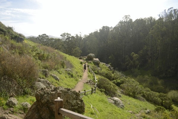 people hiking at the Glen Canyon Park in SF