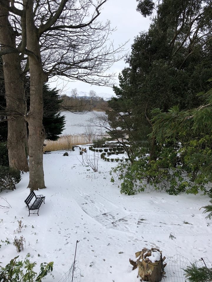 snow at Dr Neil's Garden in Scotland