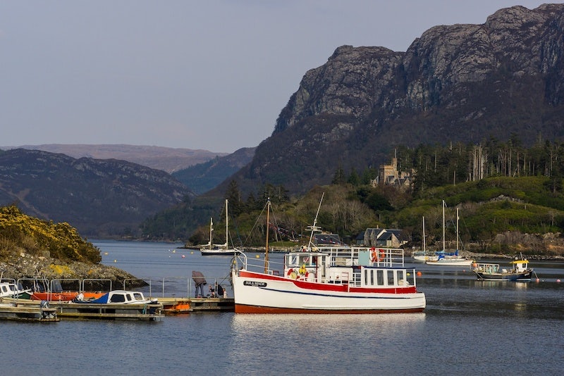 Calum's Seal Boat trips in Plockton Scotland