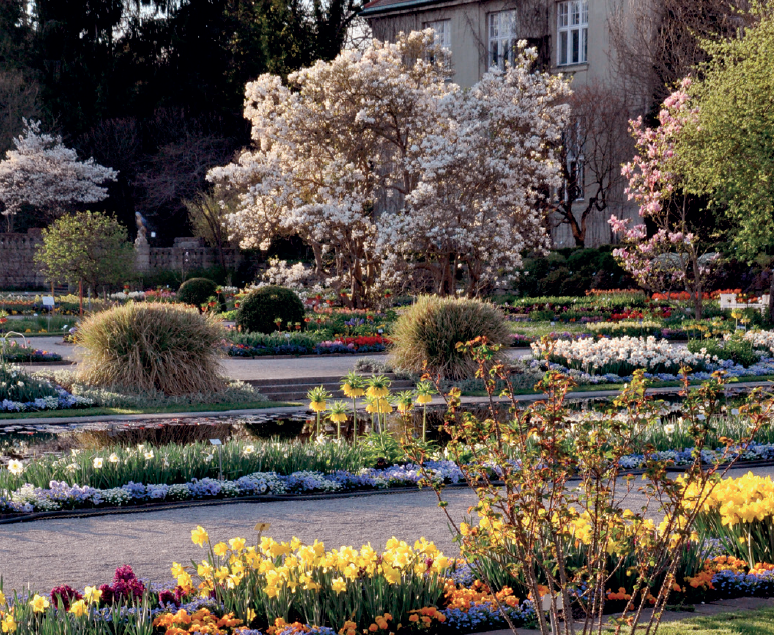 Botanischer Garten of Munich