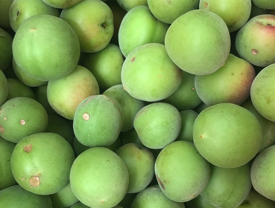 fruits from Kajuen Shirakumo orchard