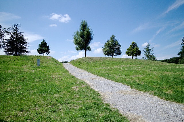 Am Himmel park and trees in Vienna