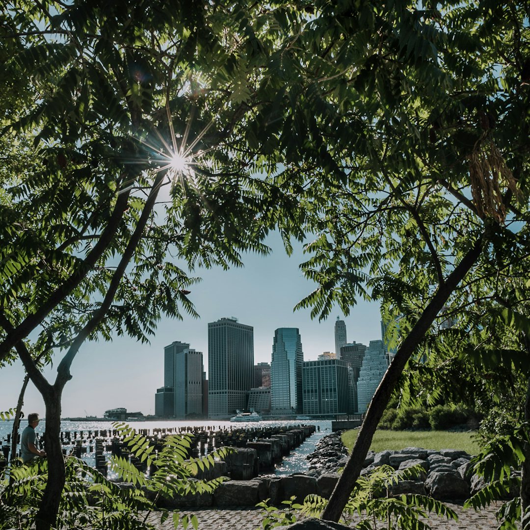 New York - Silvie Bonne - Brooklyn Bridge park 