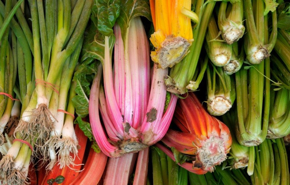 close-up of rhubarb and other vegetables