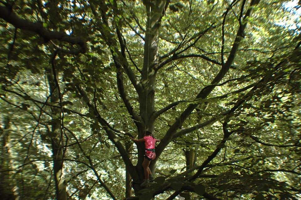 a child climbing a tree in the Hague