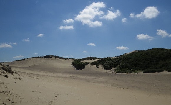 dunes against a blue sky at the Westduinpark in the Hague