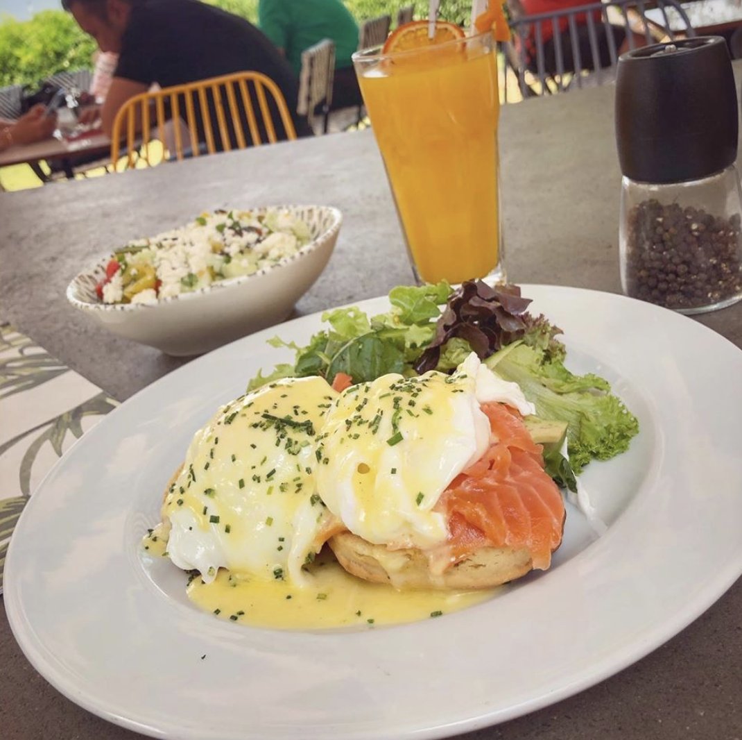 Istanbul - Backyard brunch plate of eggs benedict with salmon