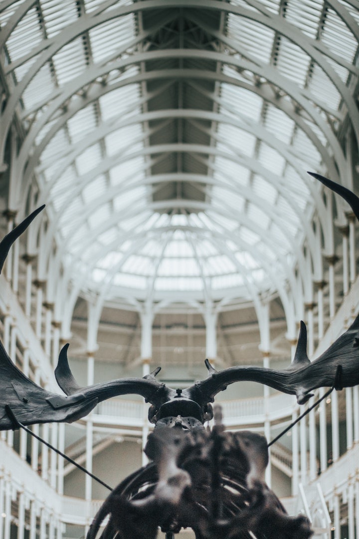 Scotland - National Museum