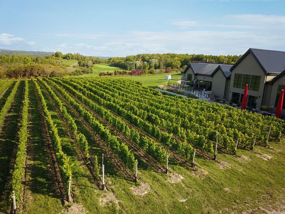 aerial view of Adamo Estate Winery