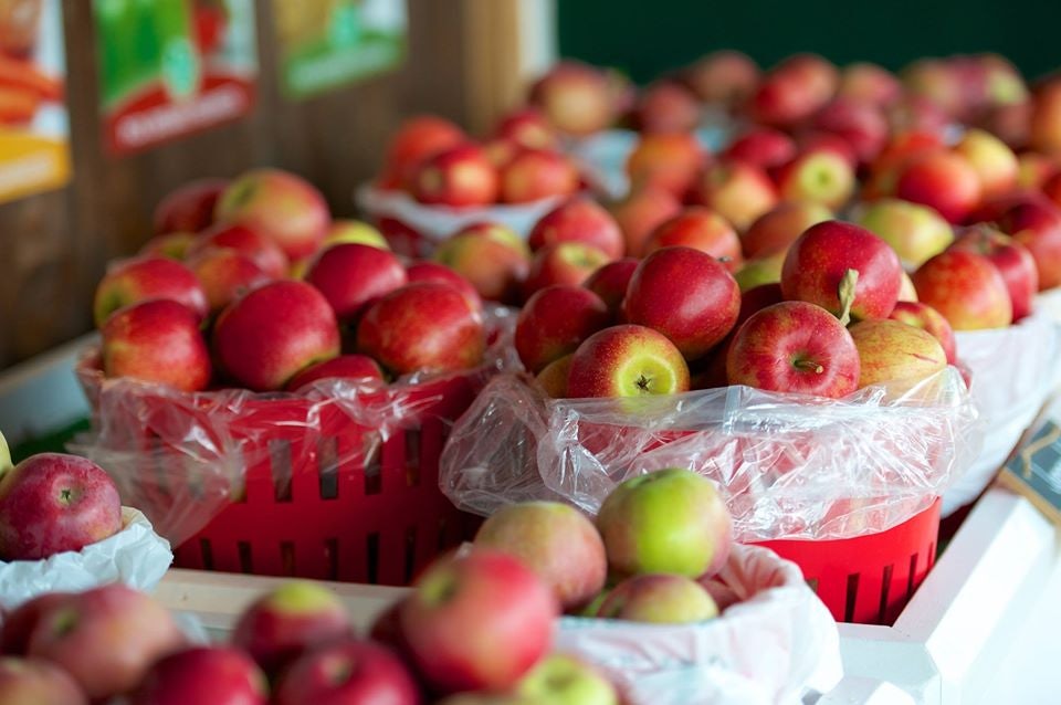 fresh apples at the Nathan Phillips Square Farmers' Market