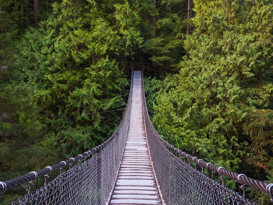 Lynn Canyon suspension bridge