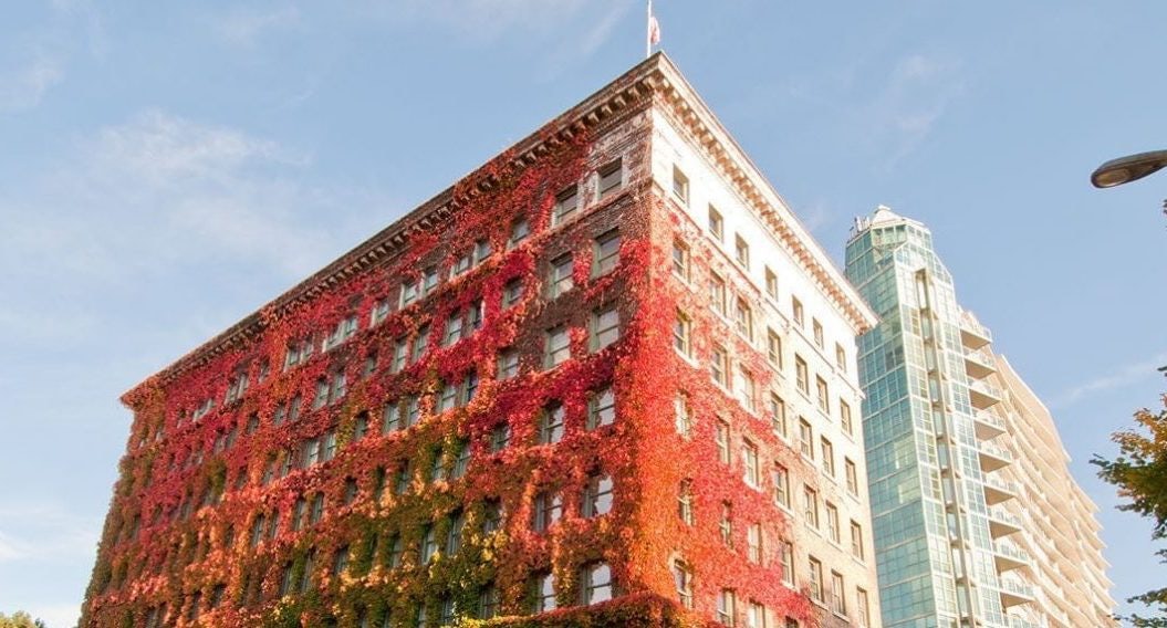 exterior of the Sylvia hotel covered in red poison ivy