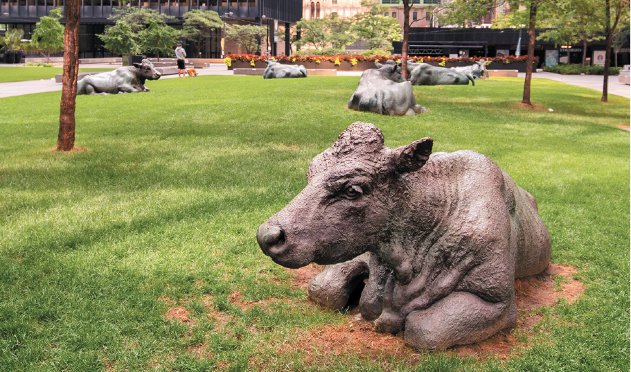 statues of cows by Joseph Fafahrd in Toronto