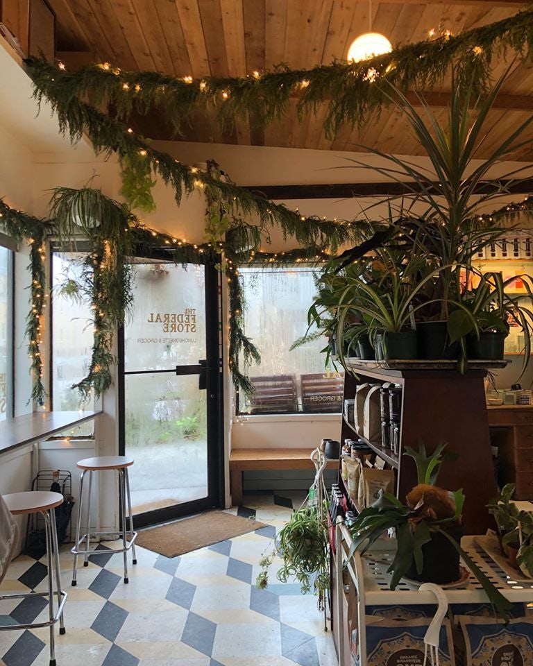cozy and tropical cafe interior of the Federal Store