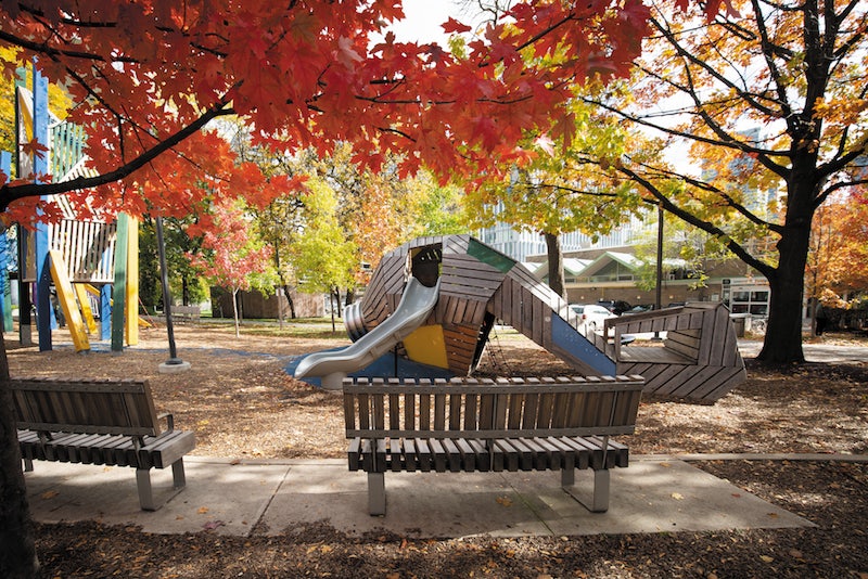 autumn leaves at the Grange children's park in Toronto