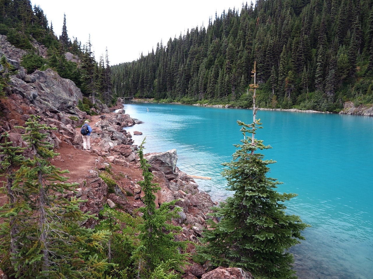 the hike trail along the Garibaldi Lake