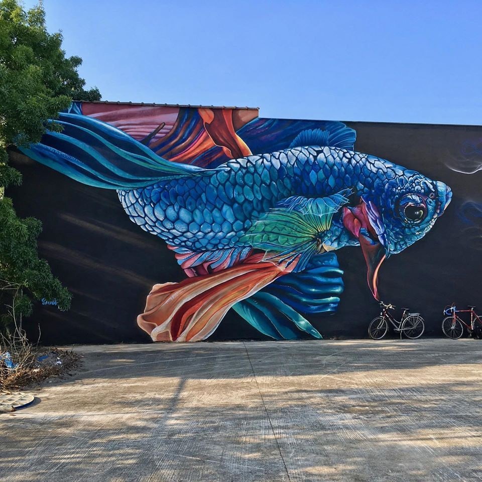 Belgium - Street art fish mural by Smok in Vilvoorde