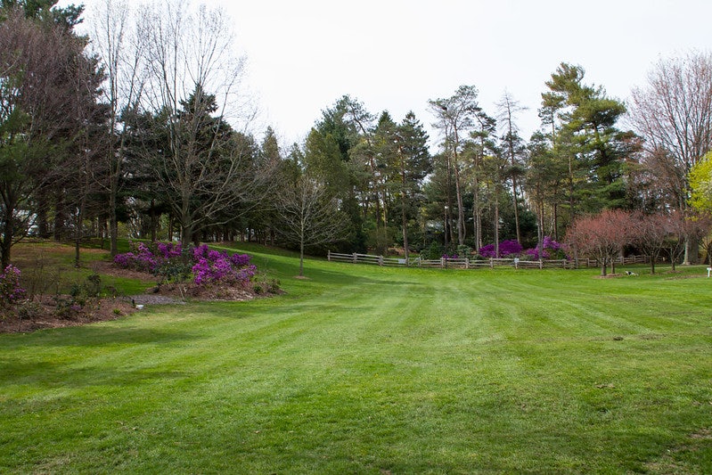 Brueckner Rhododendron Gardens in Port Credit