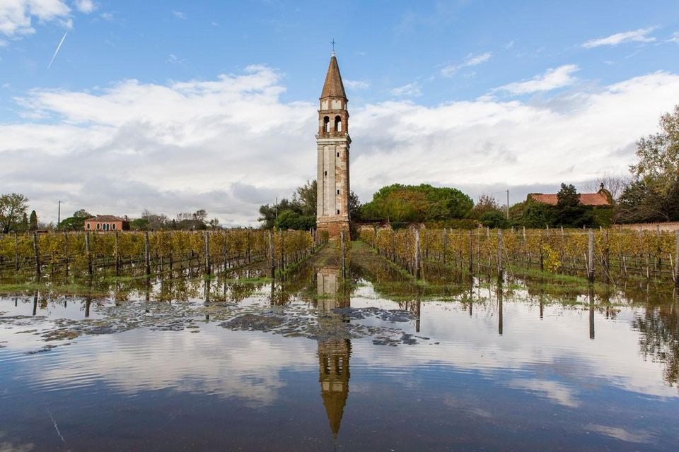 Venice - Venissa Wine Resort view from vineyards on Santa Caterina church