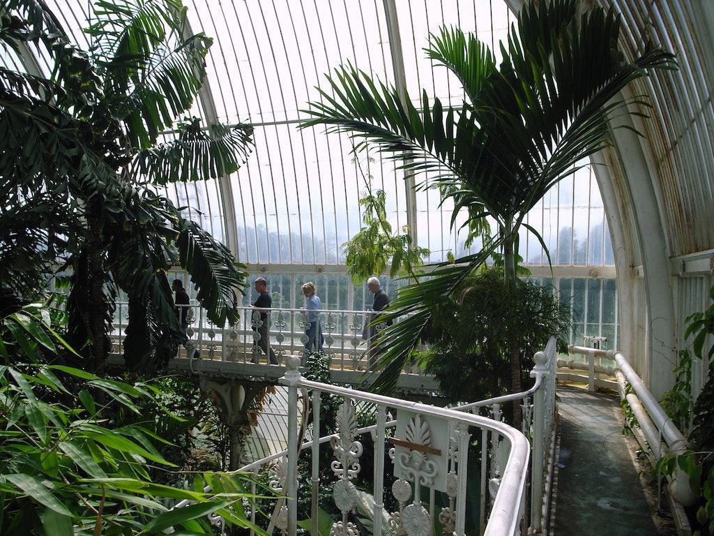 Palm House at the Kew Royal Gardens