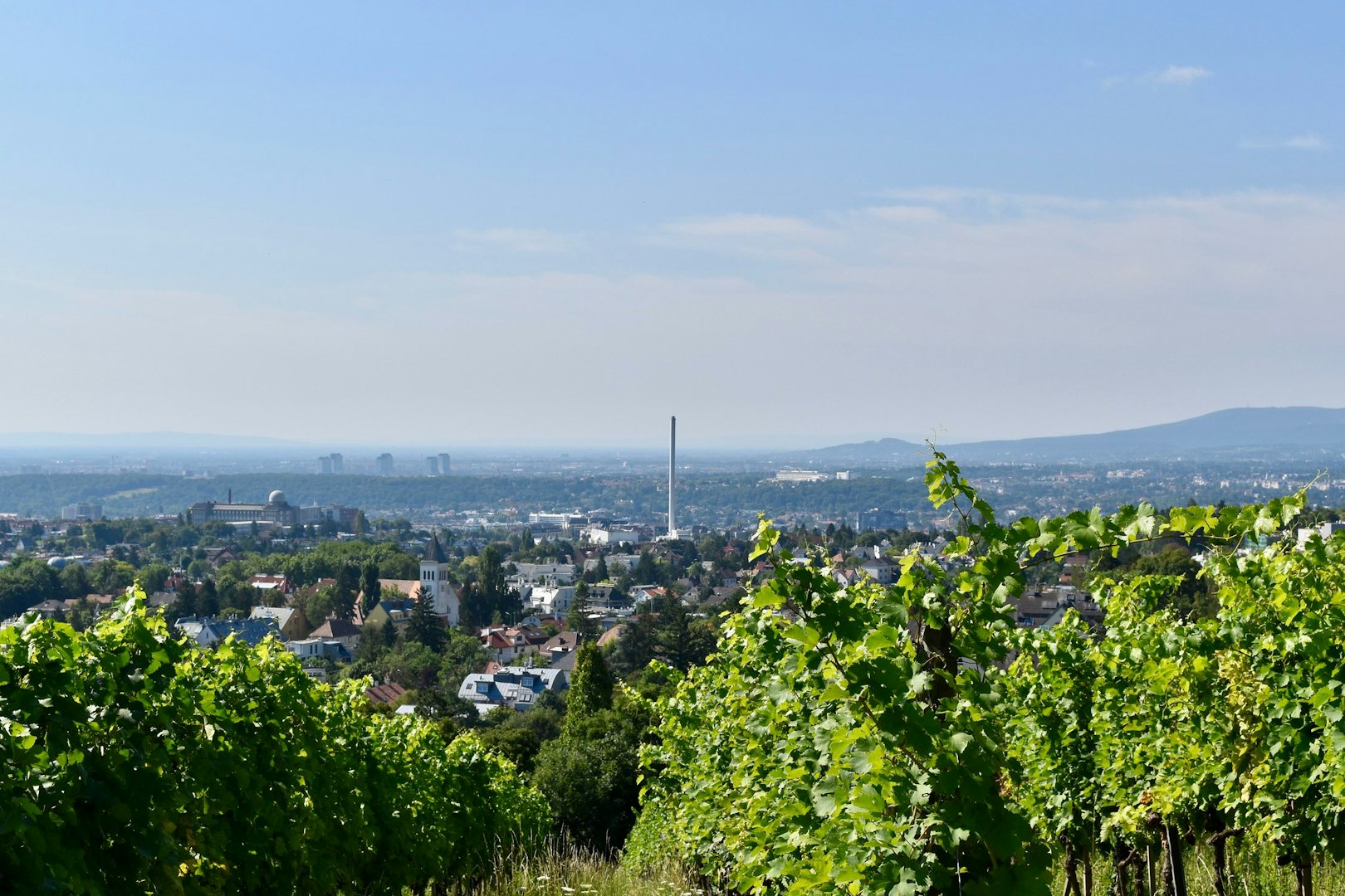 view over Vienna from the Wilhelminenberg