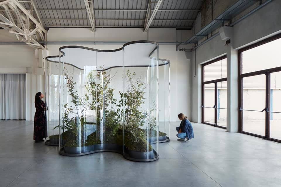 Art gallery Nuno Centeno in Bonfim