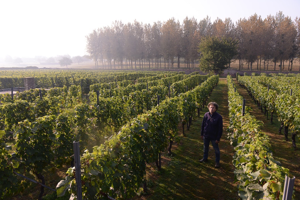 vineyard  Clos d'Opleeuw