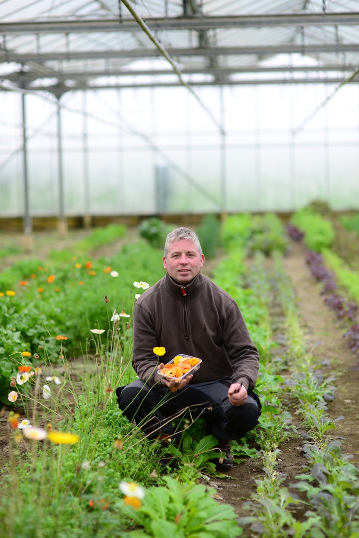 owner of the farm Blauwe Spie in the greenhouse