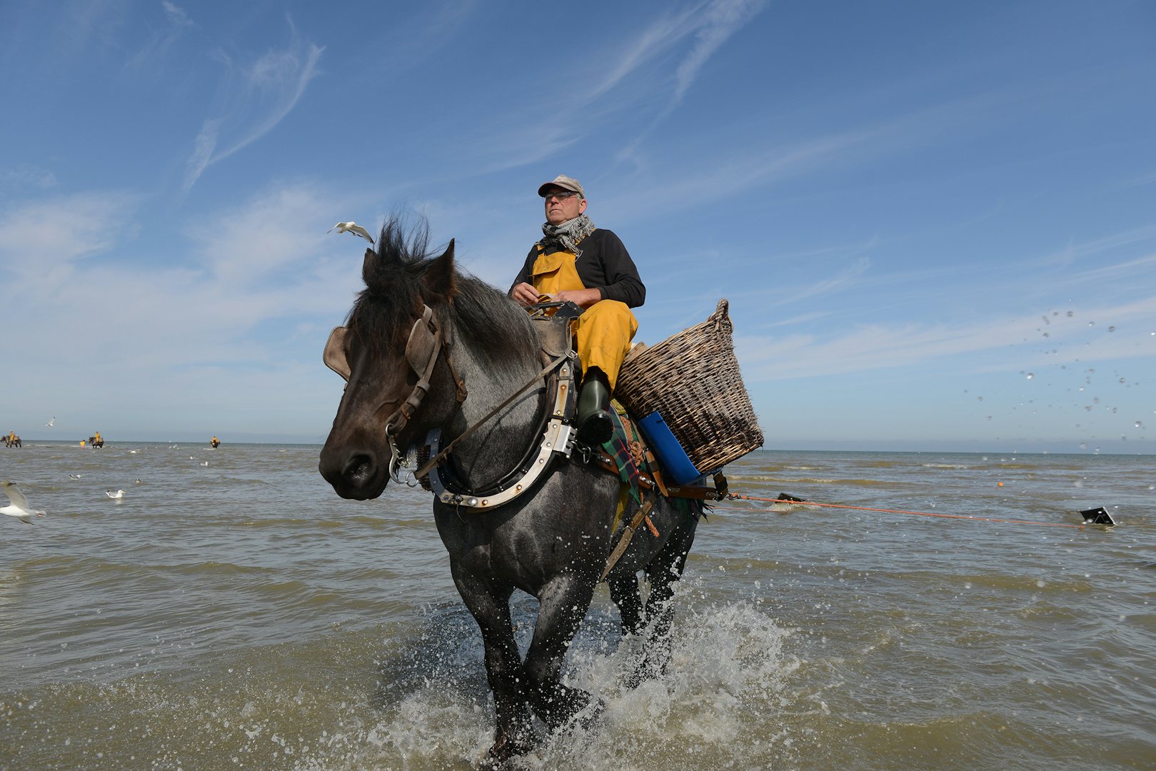 traditional shrimp fisher in Oostduinkerke Belgium