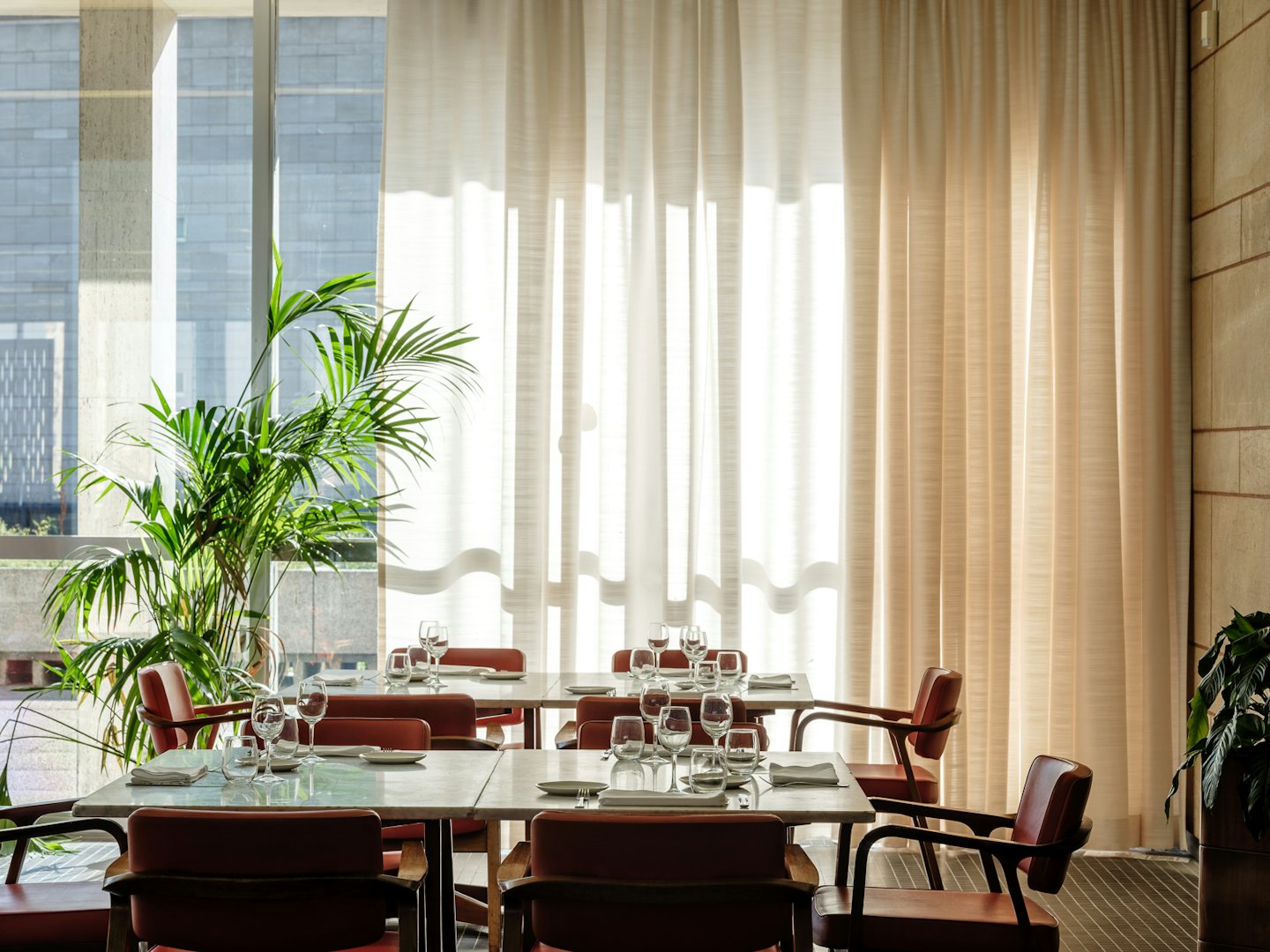 Brussels - albert restaurant interior with sun shining through white curtains