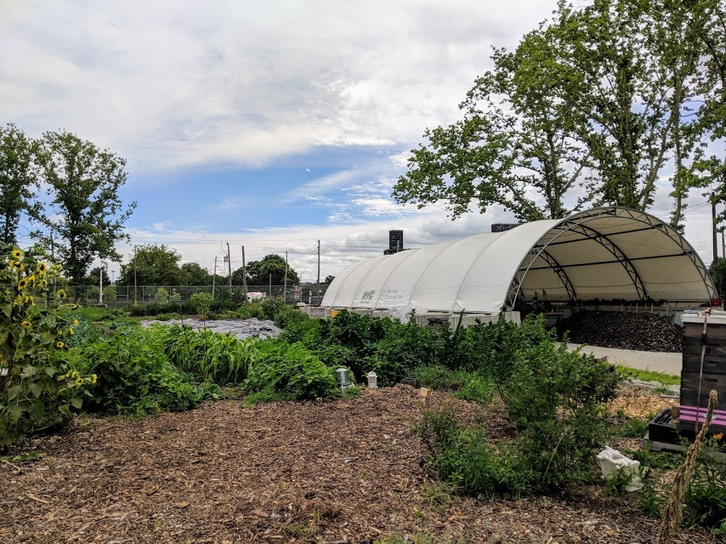 rooftop farm at Red Hook Community Farm