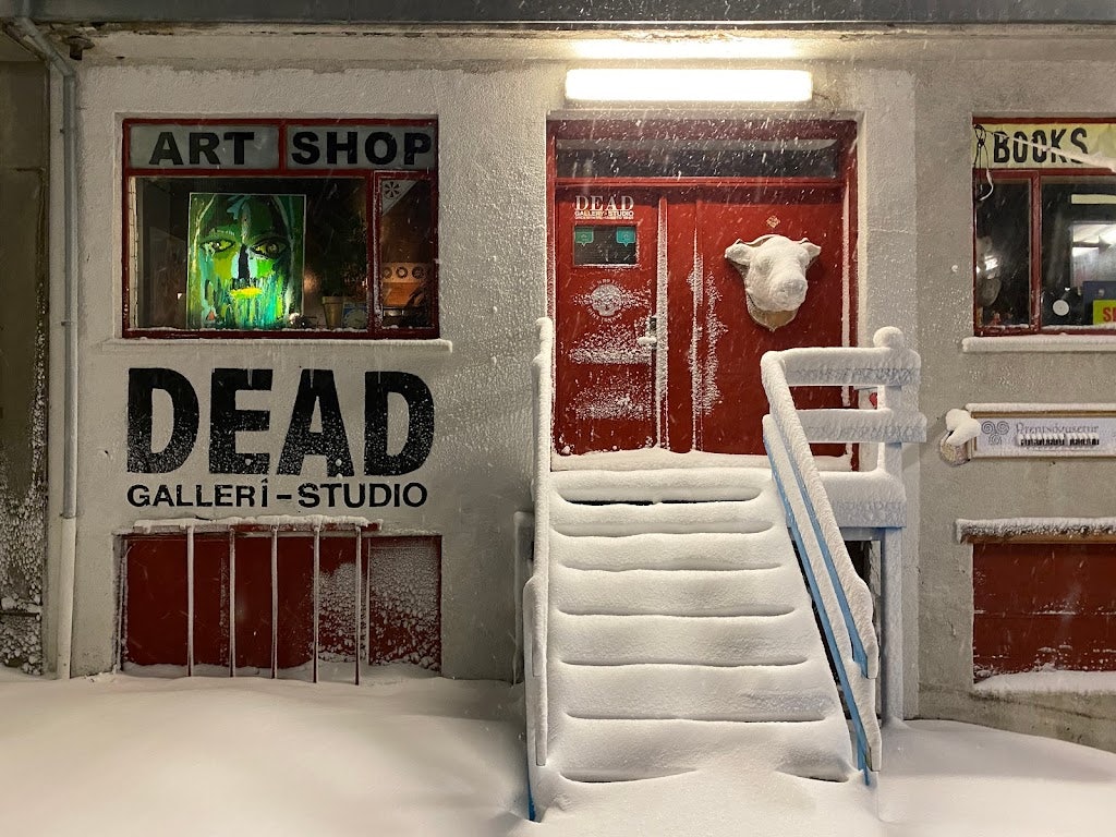 a snowy façade of the DEAD Gallery in Iceland