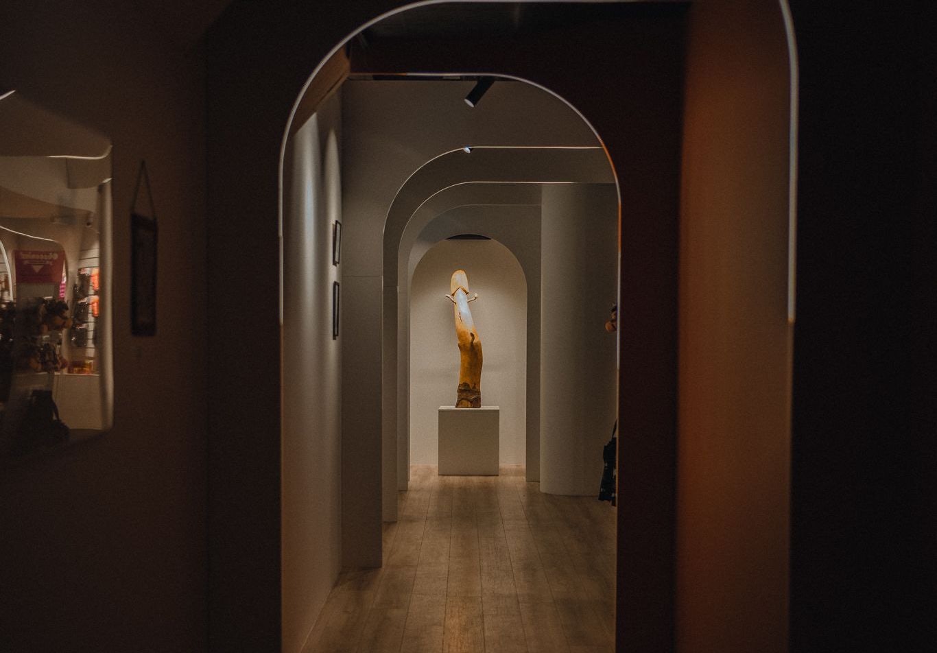 a wooden phallus in the  Icelandic Phallological Museum