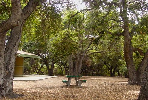 Hahamongna Watershed Park