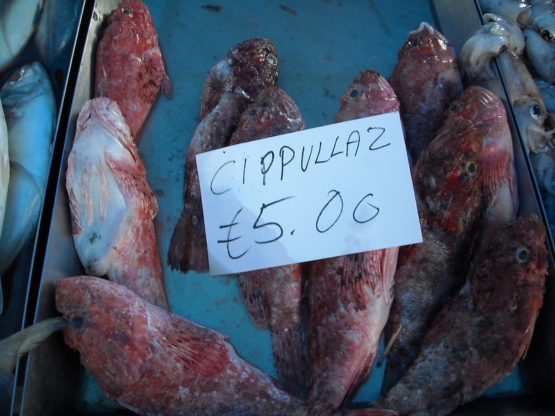 fresh fish at display in Marsaxlokk fish market