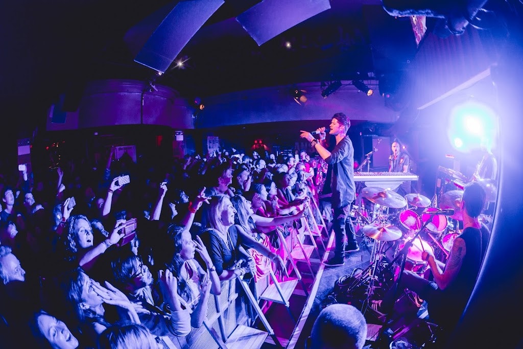 an audience enjoying a concert at Whelan's Dublin