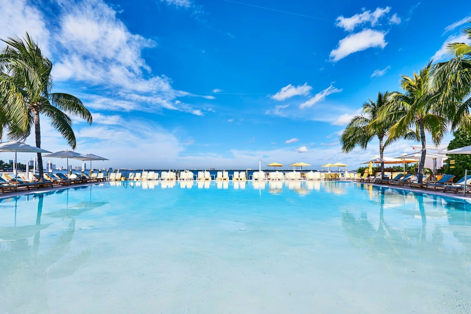 The Standard Beach Miami pool