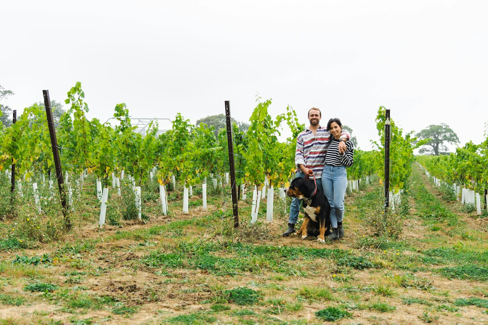 The owners posing in front of vines with their dog at Kinsbrook Vineyard