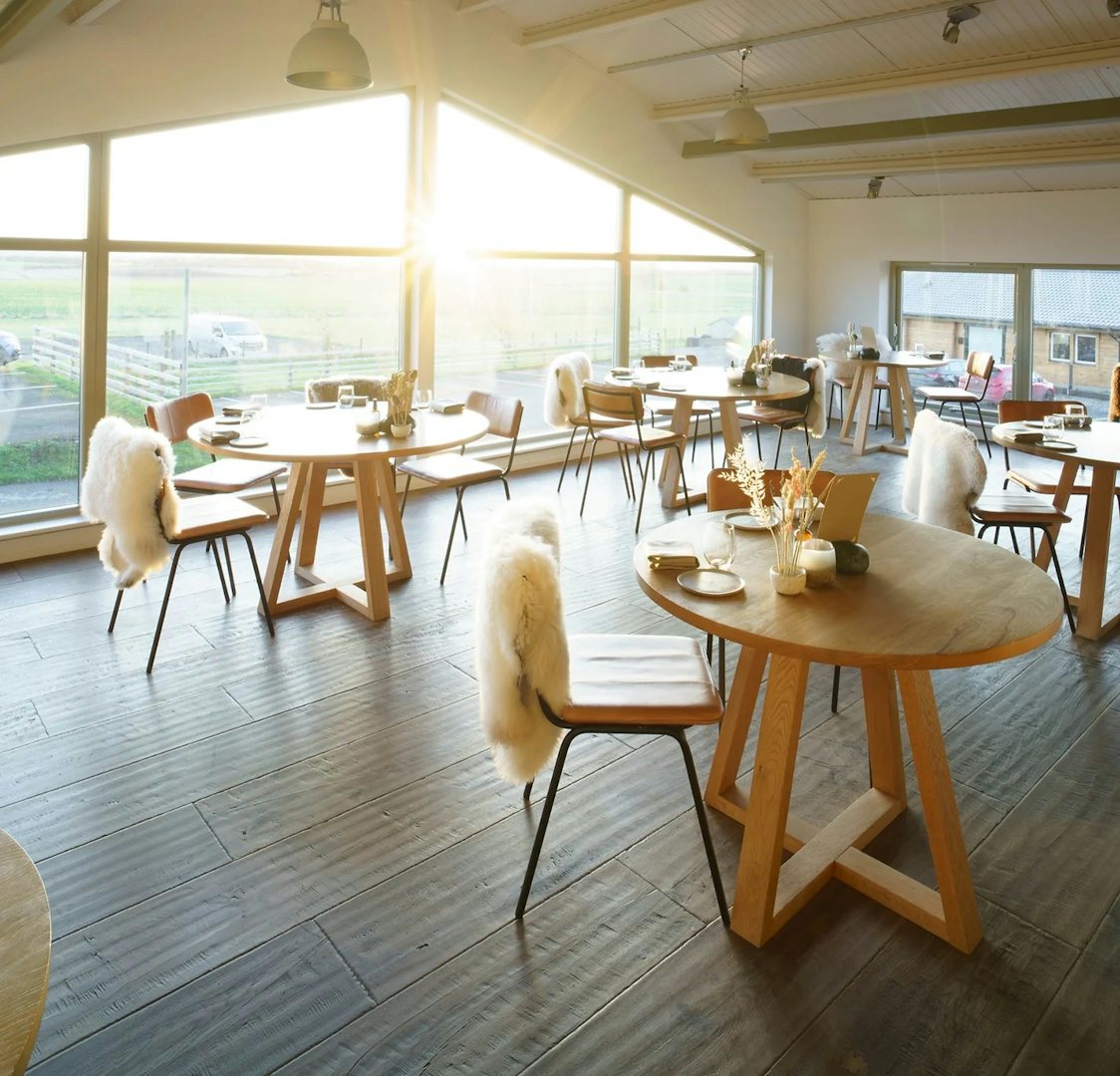 The sun coming into the dining room at Pine restaurant