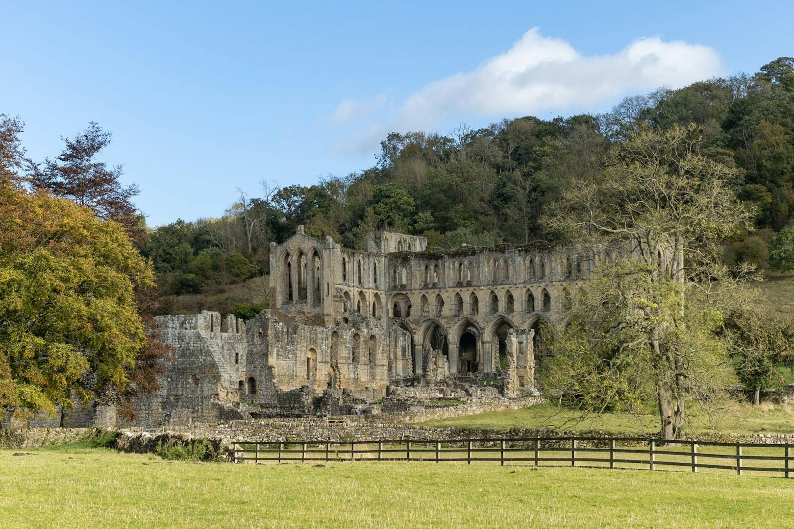 Ruins of Rievaulx Abbey surrounded by greenery on a sunny day