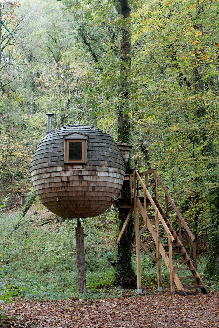 Lost Meadow Treepod suspended wooden globe in the forest