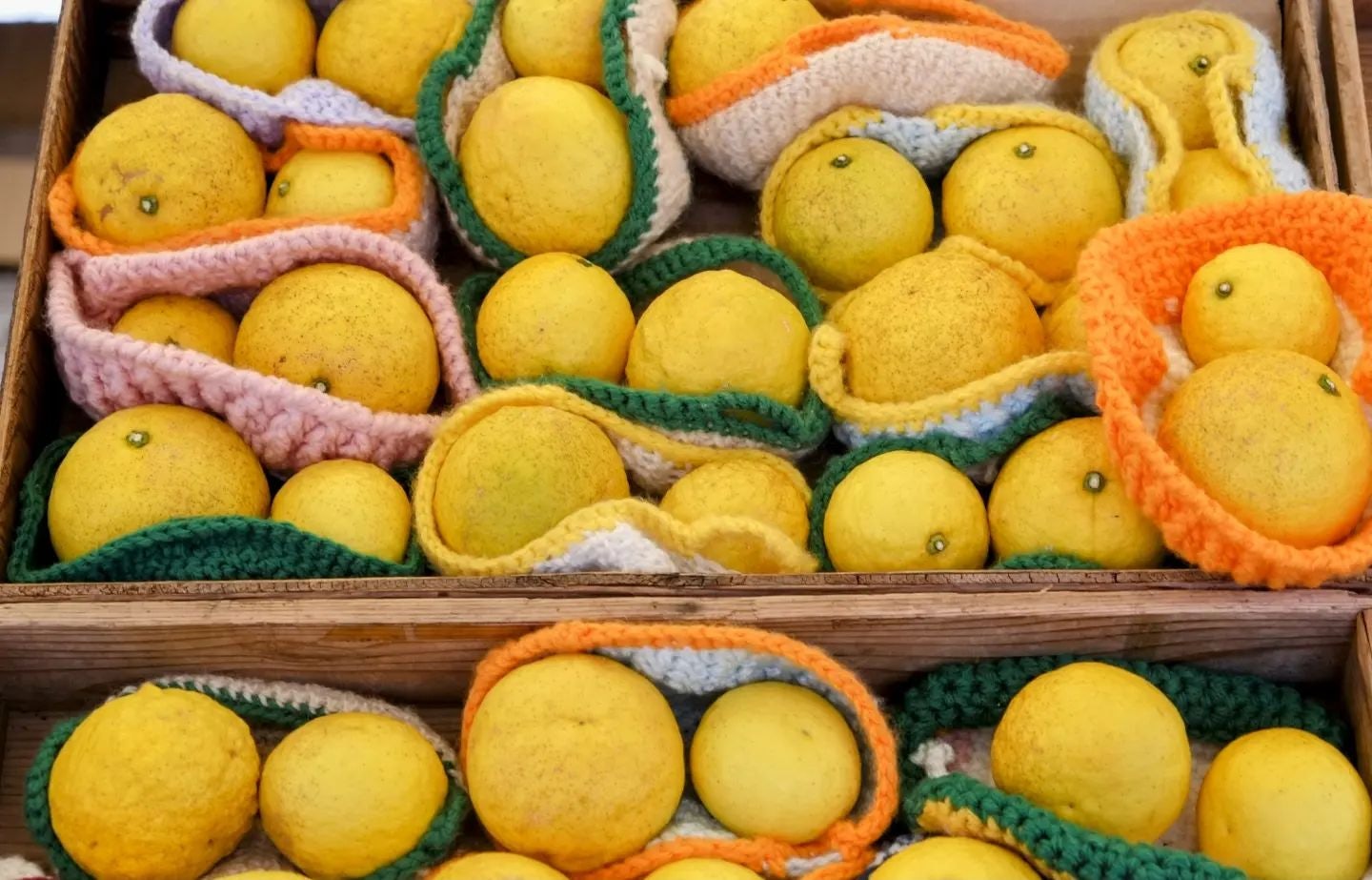 Citrus fruits at UNU farmers market