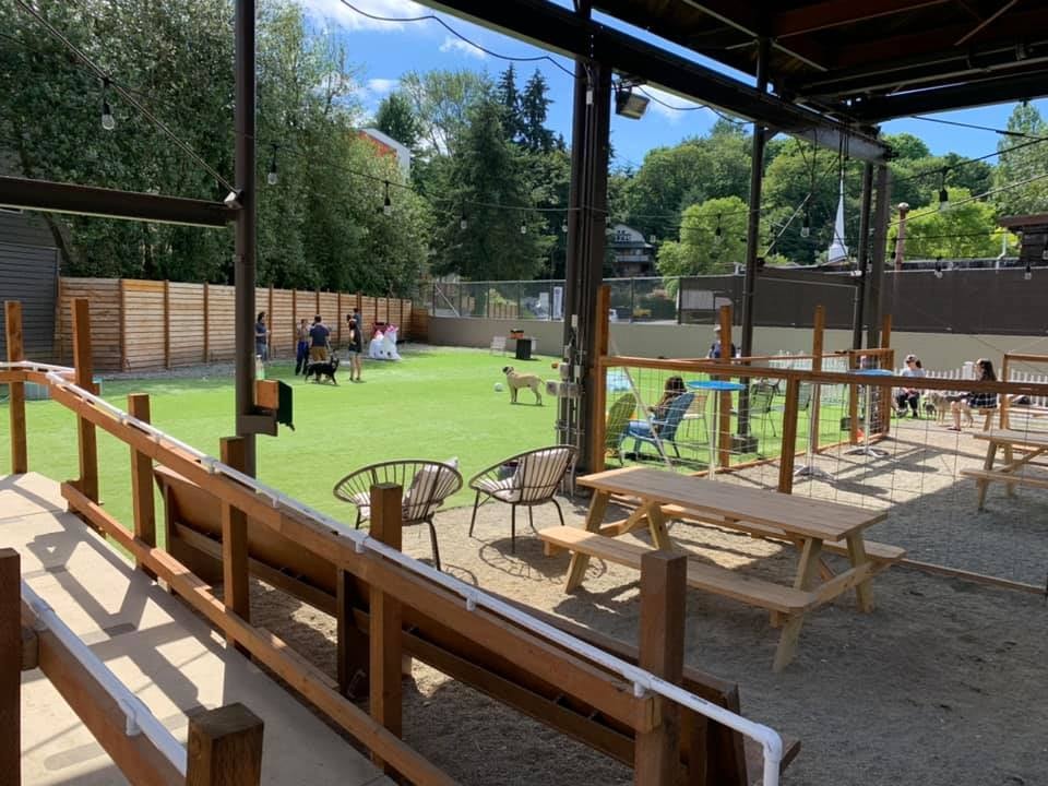 Dogs playing in the yard and wooden benches at Growlerz taproom