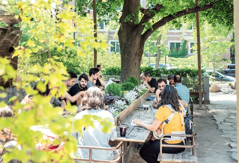 people enjoying drinks between the green at Plain Air Cafe