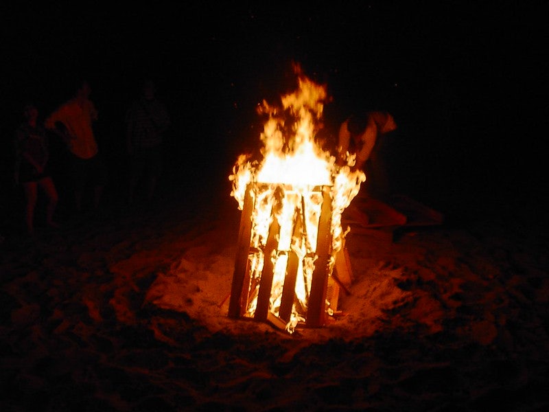 burning christmas trees at the Golden Garden Park on New Year's